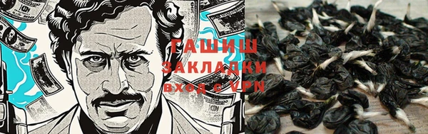 PSILOCYBIN Заволжск