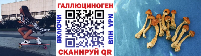 Псилоцибиновые грибы прущие грибы  Сызрань 